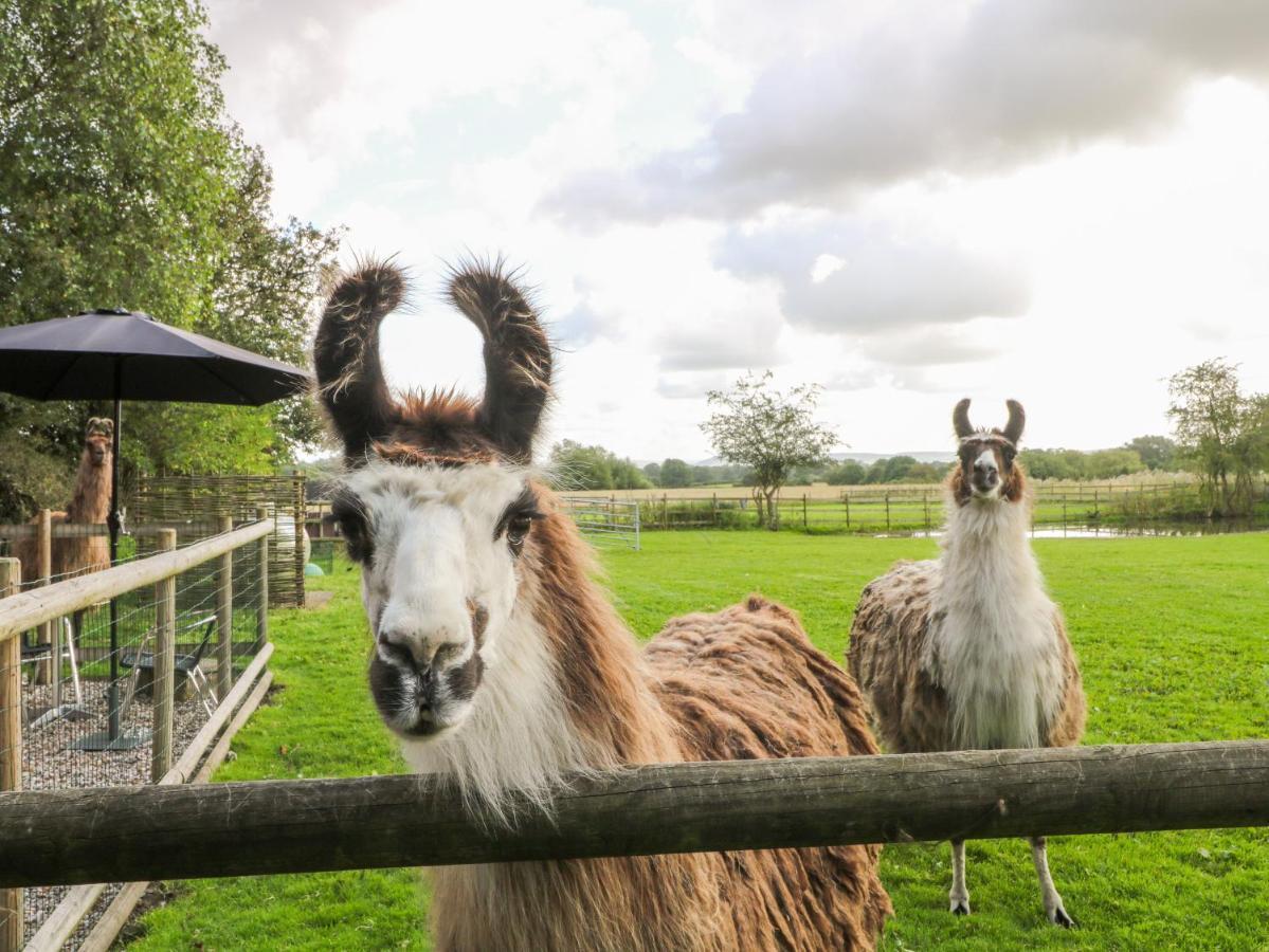 Brereton Chequer Stableヴィラ エクステリア 写真
